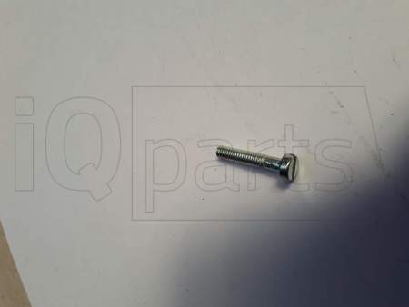 Schraube , M4X20 DIN8243 VZ